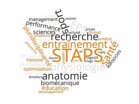licence staps