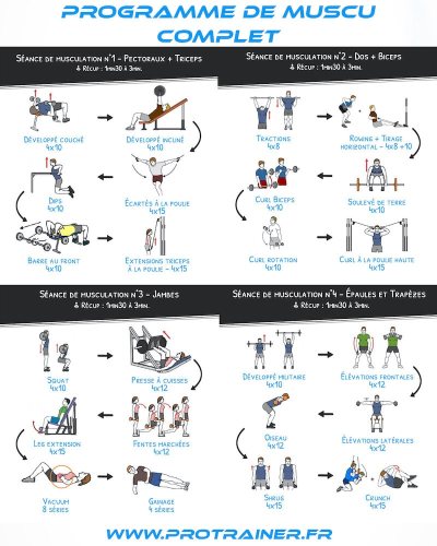 programme musculation homme