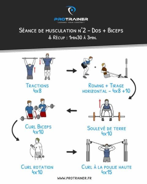 programme musculation dos biceps