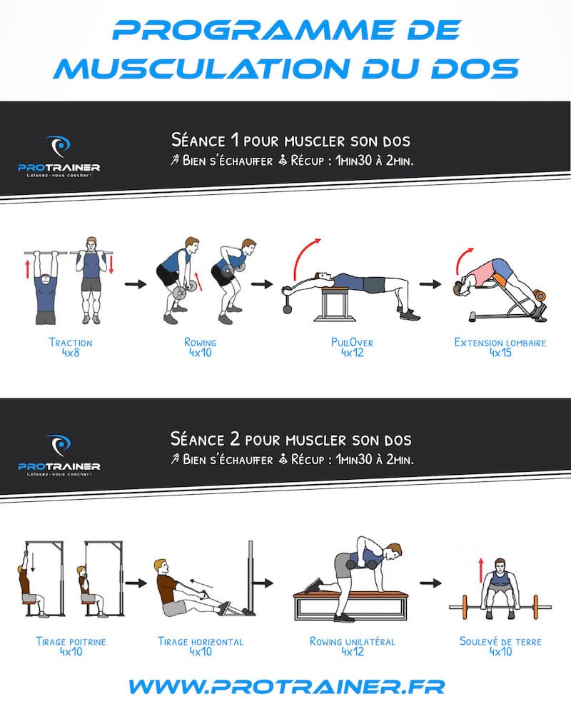 programme musculation dos