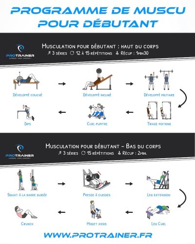programme musculation debutant