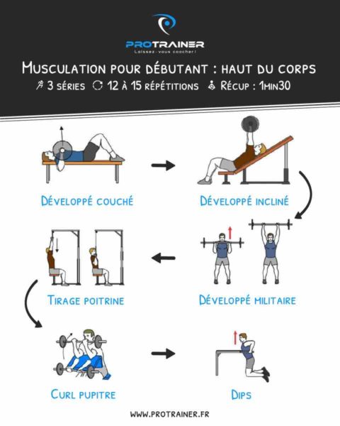 seance musculation debutant haut du corps
