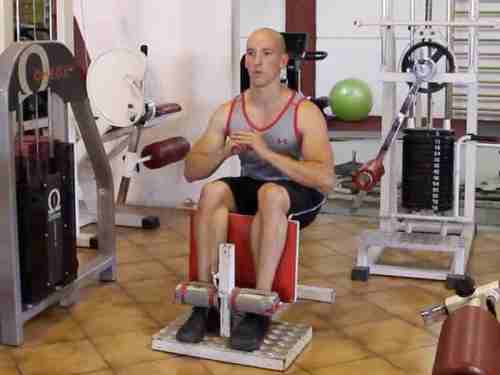 sissy squat sur machine