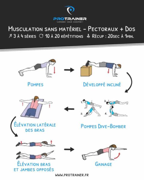 musculation pectoraux et dos au poids de corps