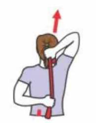 exercice elastiband muscler bras