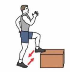 sauts alternés sur step