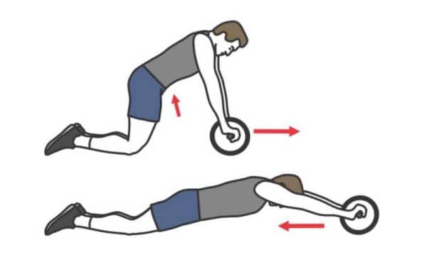 exercice ab wheel genou