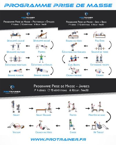 Programme prise de masse programme prise de masse musculation