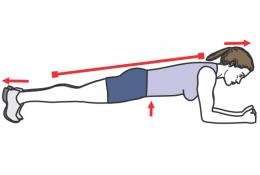 exercice ceinture abdominale