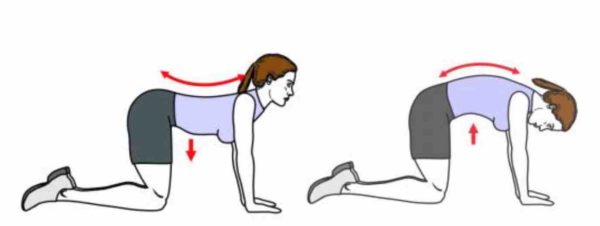 muscler le transverse