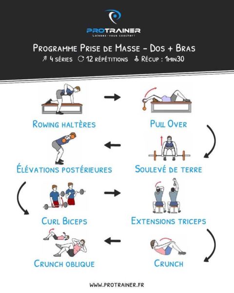 programme prise de masse dos et bras