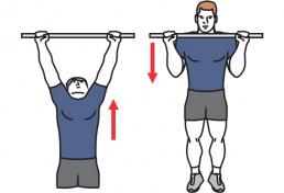 musculation du dos au poids du corps