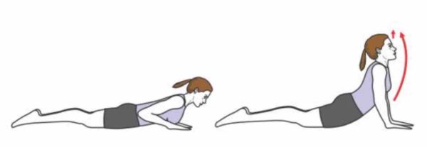 exercice etirement abdominaux