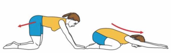 exercice souplesse dos