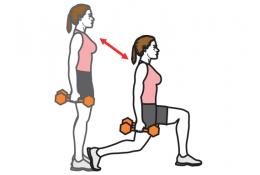 exercice cuisses fessiers