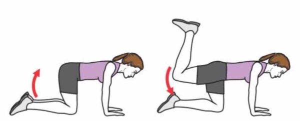 exercice grand fessier