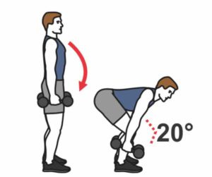muscler grand gluteal