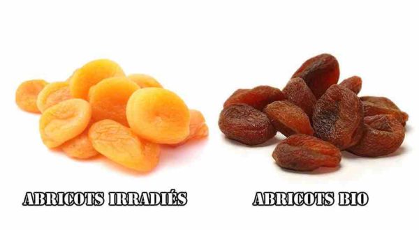 fruits bio