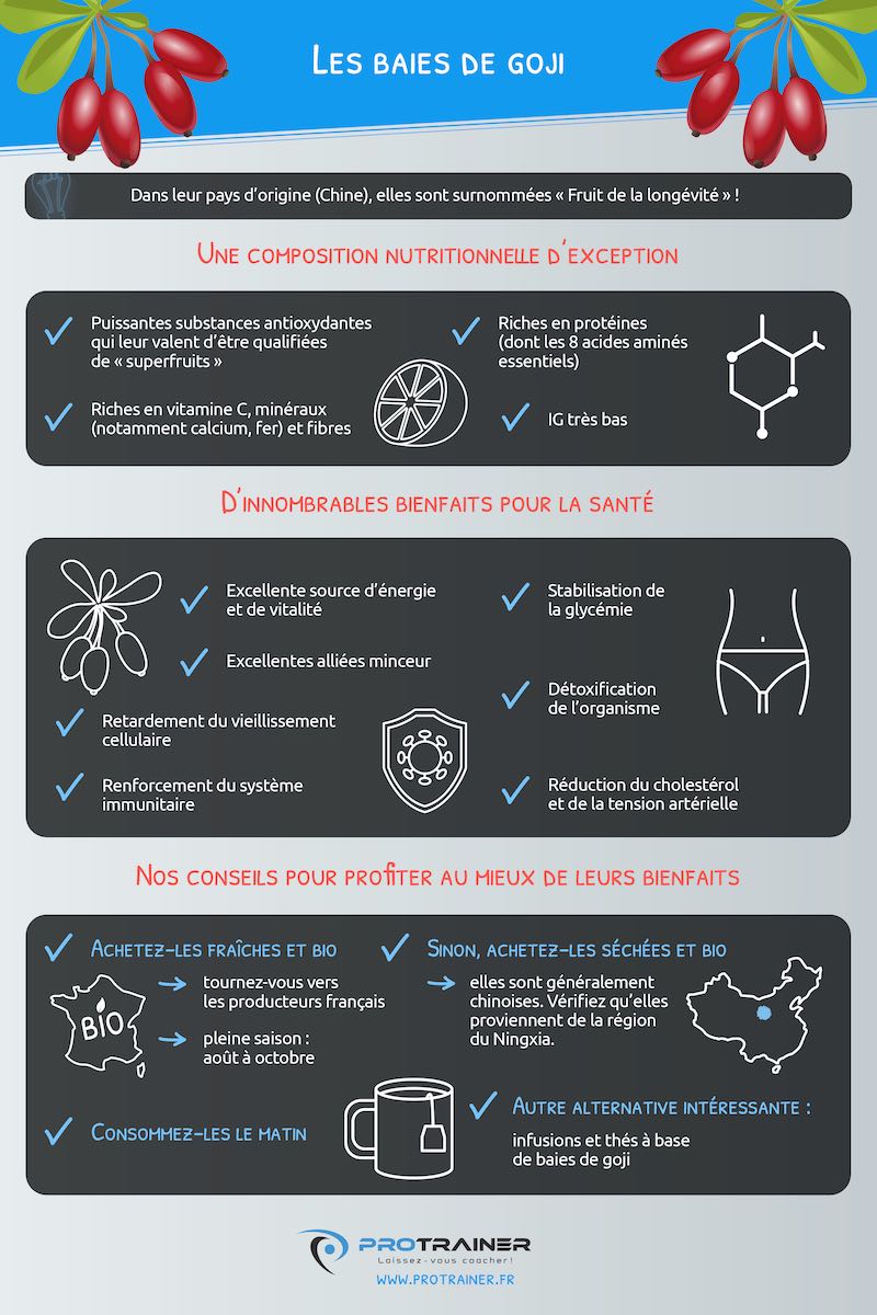 infographie baies de goji
