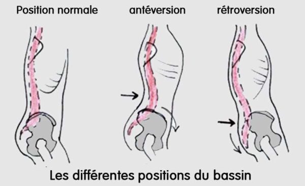 retroversion du bassin gainage