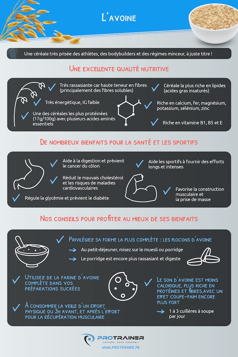 infographie avoine