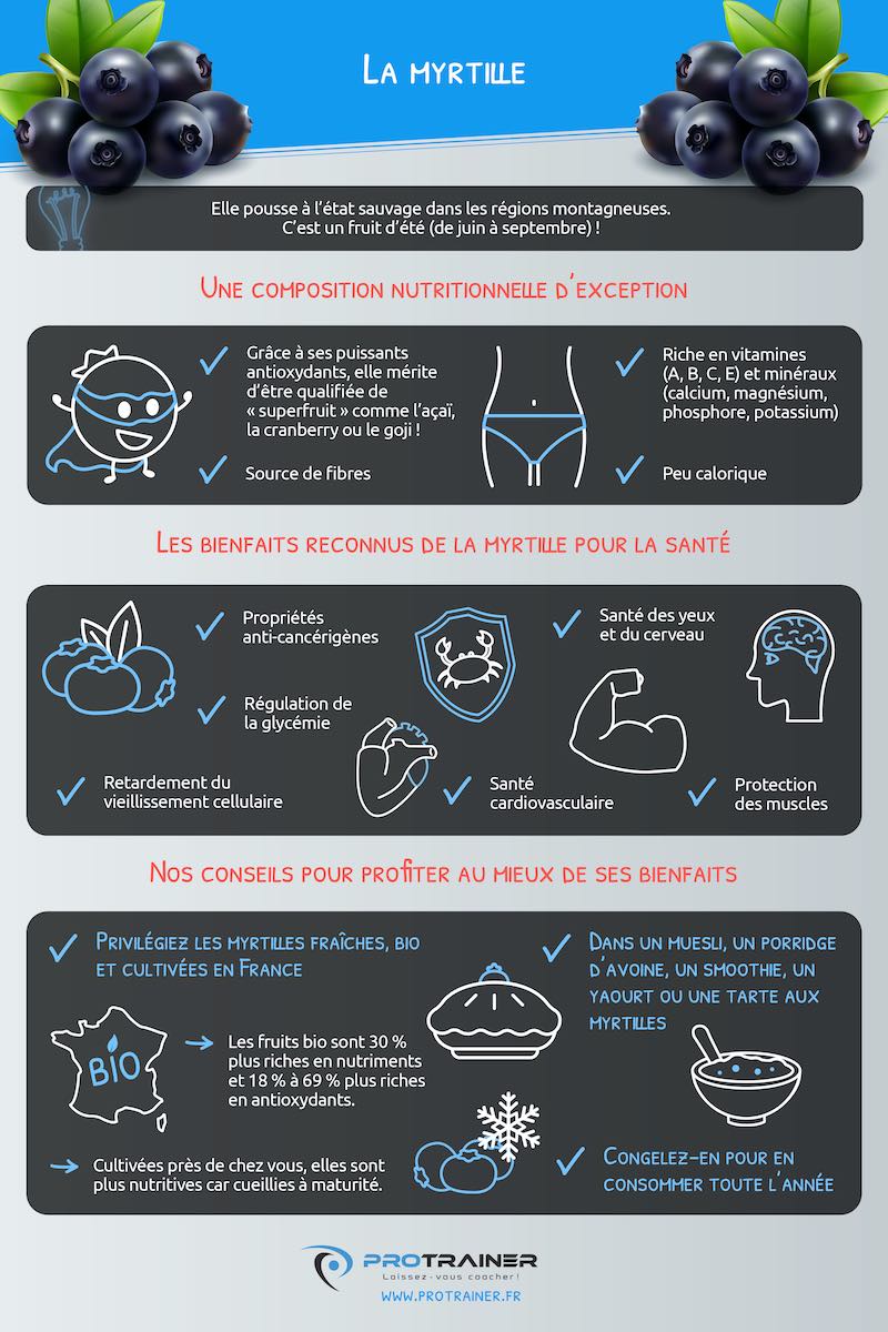 infographie myrtille