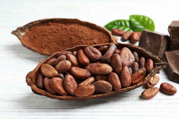 fèves et poudre de cacao