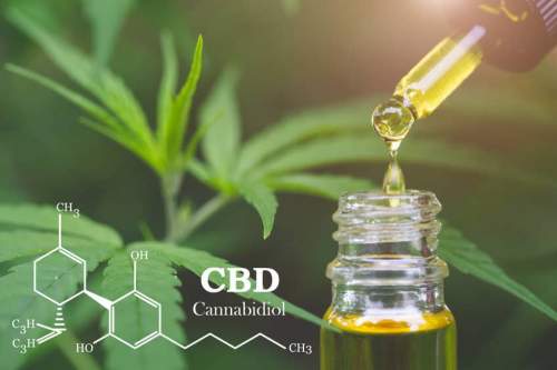 cbd sport