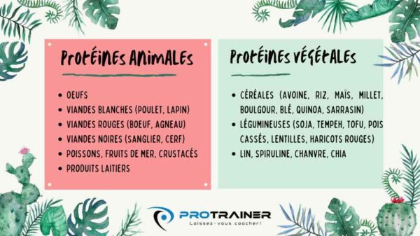 proteines animales vegetales sources alimentaire