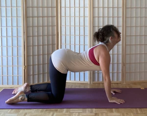 posture vache yoga bitilasana