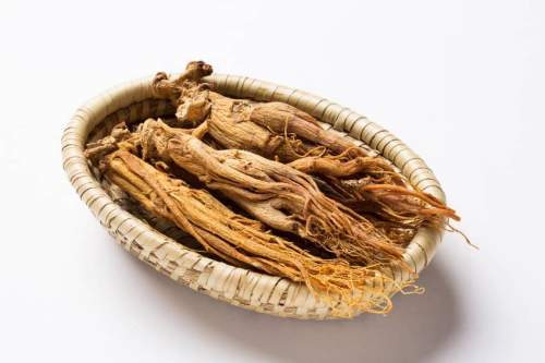ginseng