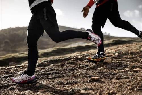 chaussures trail salomon