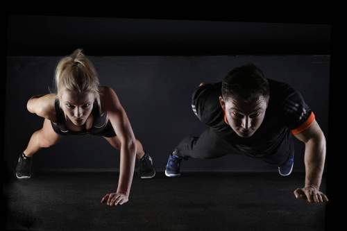 creatine force sport
